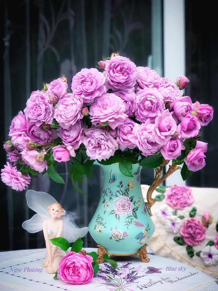 Tử vi hàng ngày - Thứ Bảy 19/11/2022 của 12 cung hoàng đạo